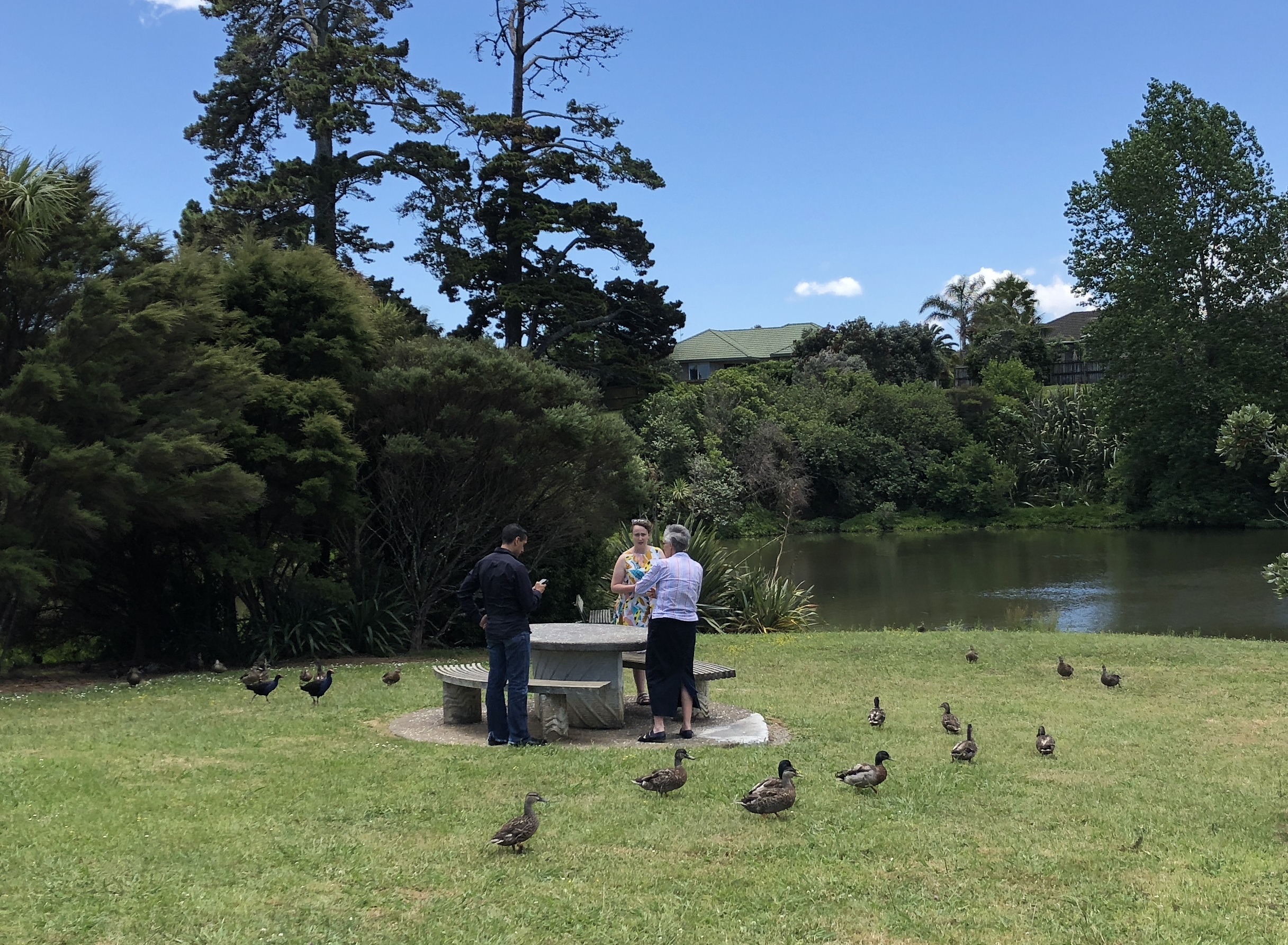 Auckland – Teachers upskill in ArcGIS